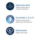 CERAVE FOAMING CLEANSER 16 0Z