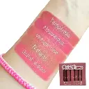 ITALIA DELUXE TOP FIVE MODESST MAUVES SET