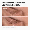 THE ORDINARY THE LASH & BROW DUO