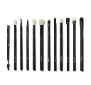 MORPHE EYE OBSESSED 12 PIECE