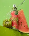 SETTING SPRAY SANDIA BC
