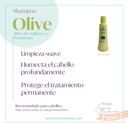 CHIHTSAI SHAMPOO SULFATE & PARABRN FREE
