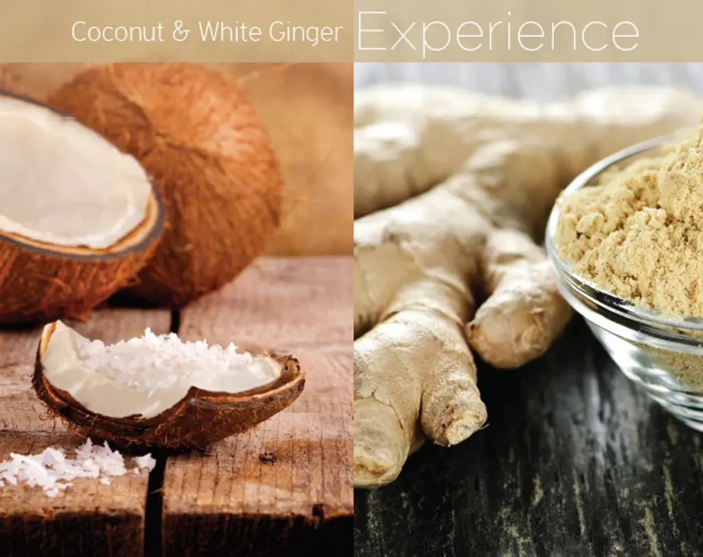 CUCCIO BUTTER COCONUT & WHITE GINGER