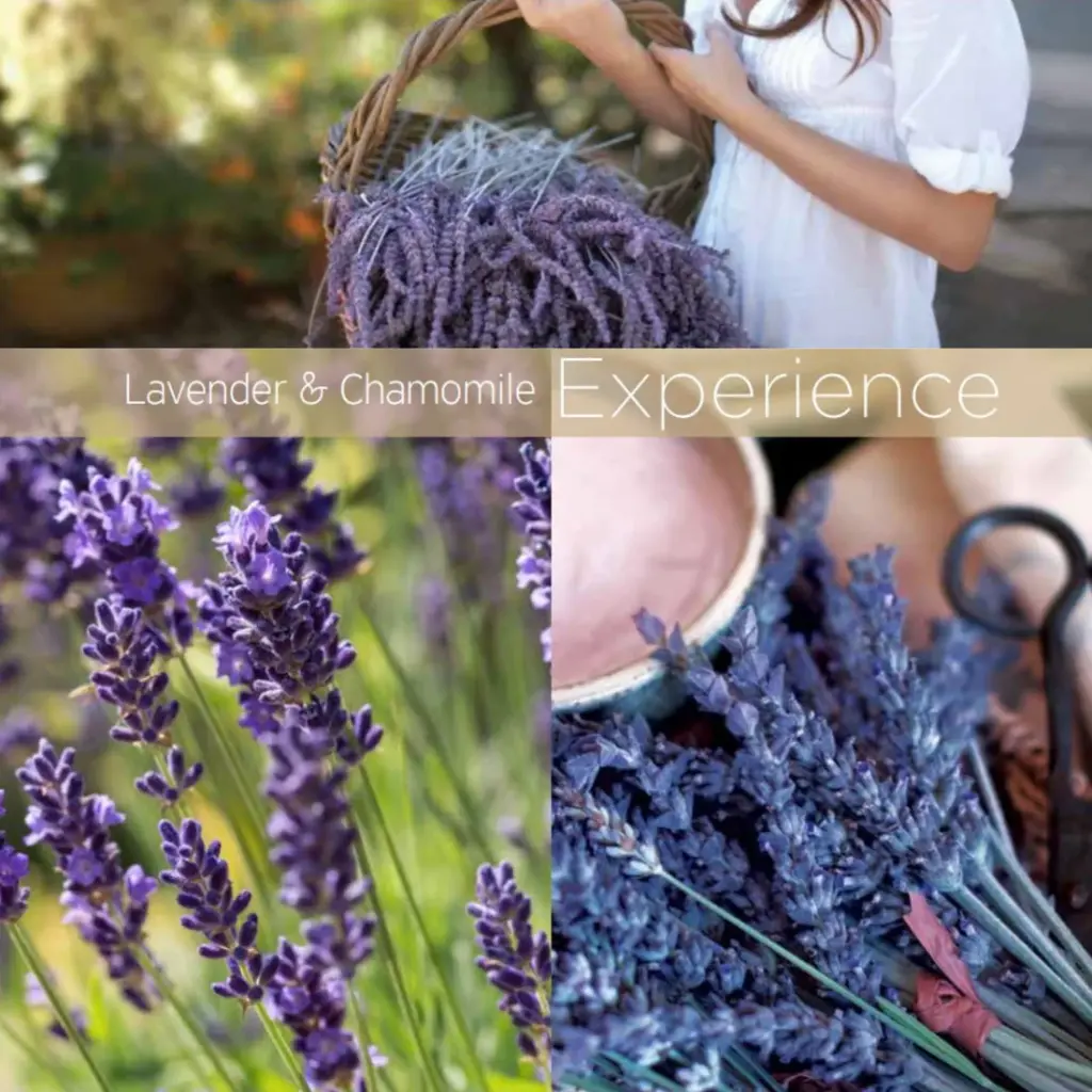 CUCCIO BUTTER LAVENDER & CHAMOMILE