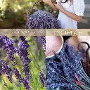CUCCIO BUTTER LAVENDER & CHAMOMILE