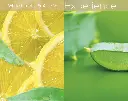 CUCCIO CUTICLE OIL  LIMETTA Y ALOE VERA