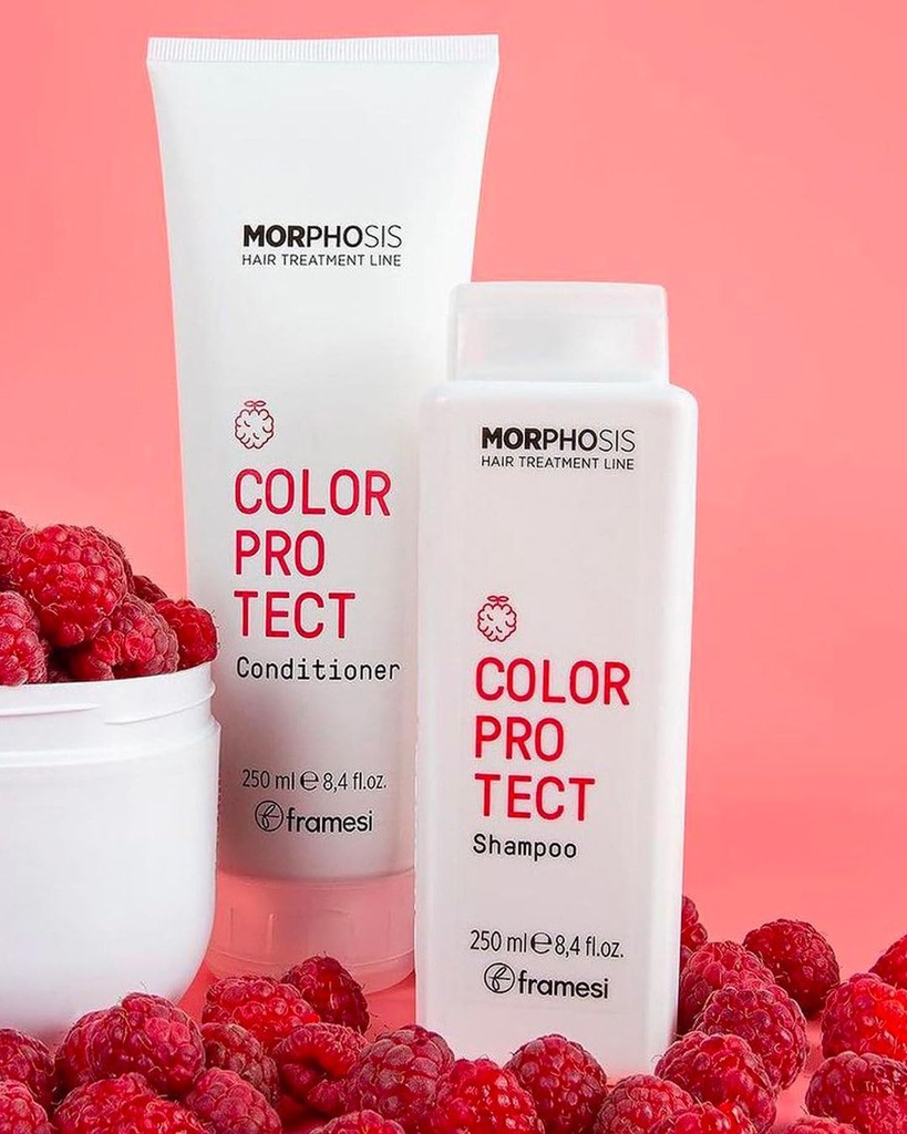 FRAMESI COLOR PROTECT SHAMPOO 250 ML