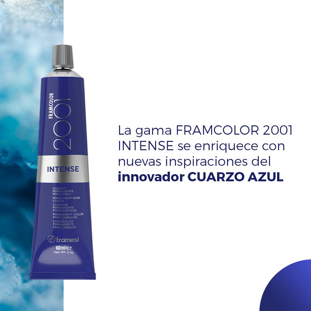 FRAMESI FRAMCOLOR 2001 INTENSE COLOR PERMANENTE 10.62
