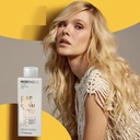 FRAMESI PASION BLONDE SHAMPOO 250 ML