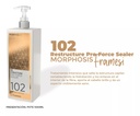 FRAMESI RESTRUCTURE PRO FORCE SEALER 102