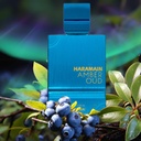 AL HARAMAIN AMBER OUD AQUA DUBAI 