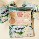 PHYSICIANS FORMULA DREAM TEAM FACE PALETTE