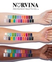NORVINA PRO PIGMENT PALETTE VOL.6