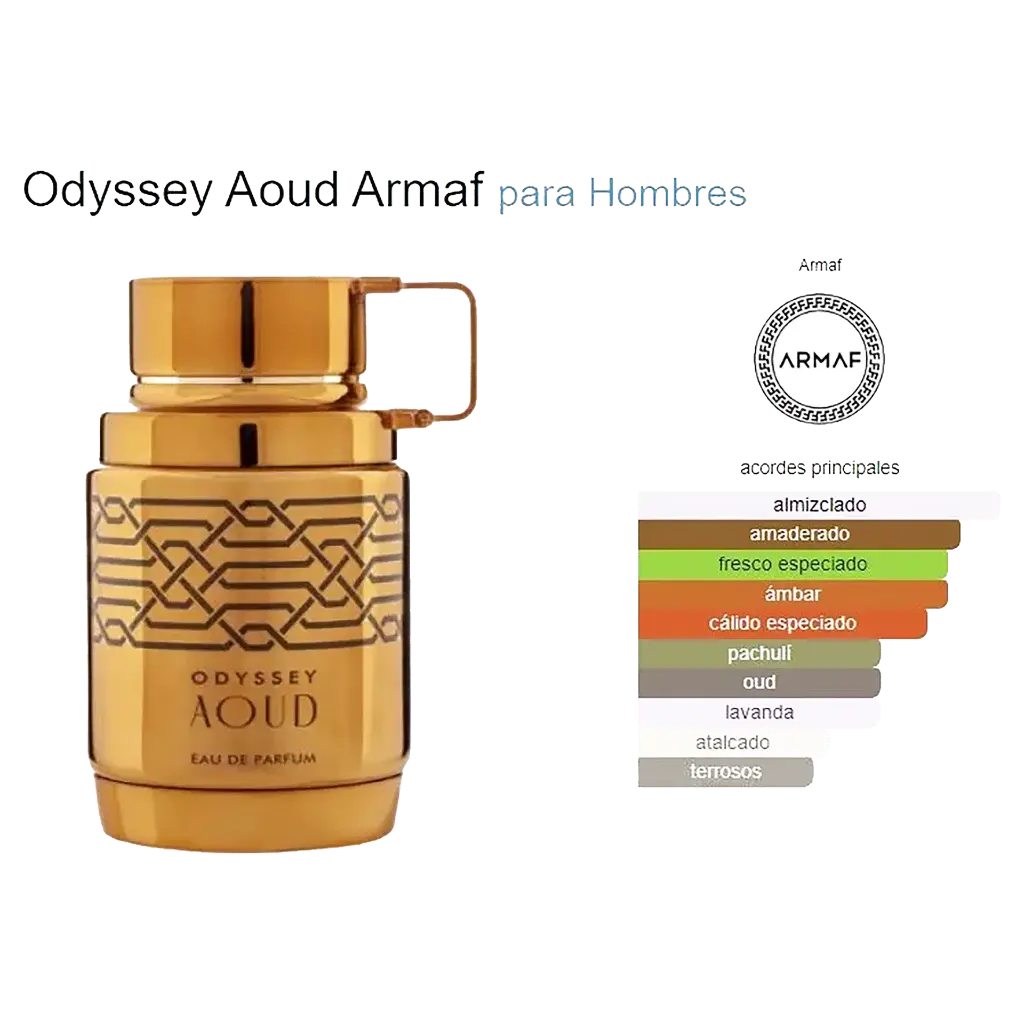 ARMAF ODYSSEY AOUD 100ML