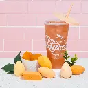 BEBELLA COSMETICS 6 BLENDERS PEACH