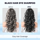 BLACK HAIR DYE  SHAMPOO 3 IN 1
