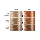 LISAP RE FRESH COLOR MASK COOPER