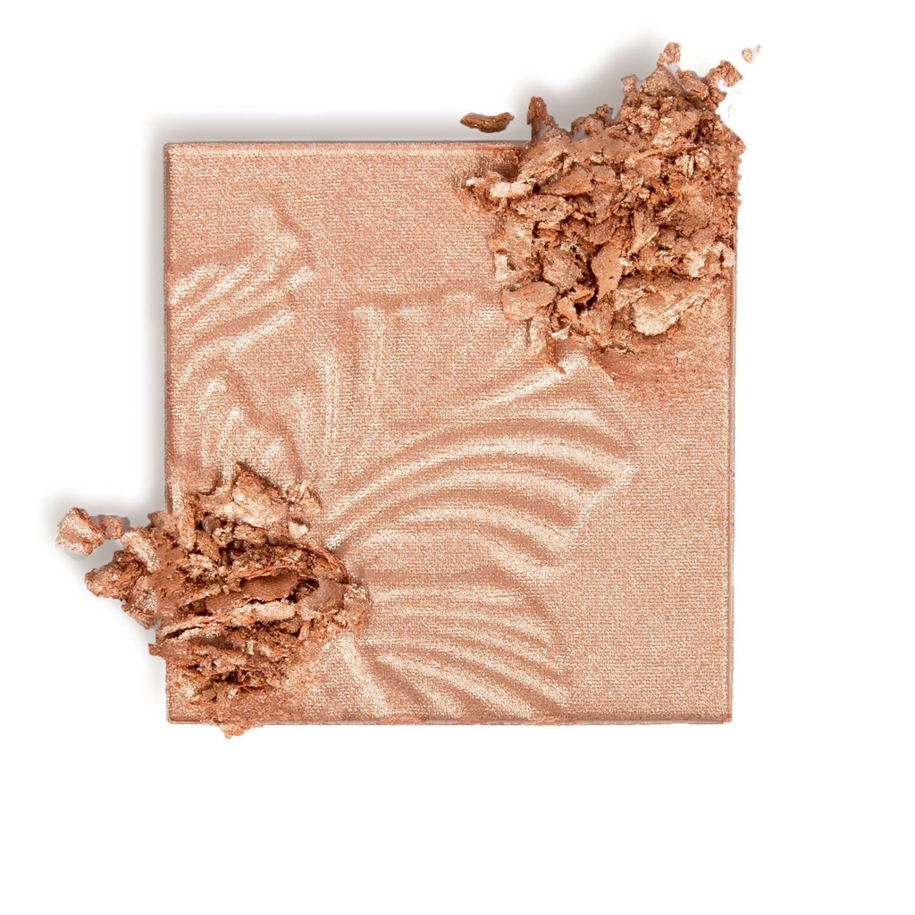 HIGHLIGHTING POWDER WET N WILD