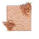 HIGHLIGHTING POWDER WET N WILD
