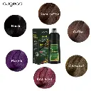AUGEAS HERBAL HAIR DYE SHAMPOO 