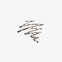 ANASTASIA BROW DEFINER EBONY