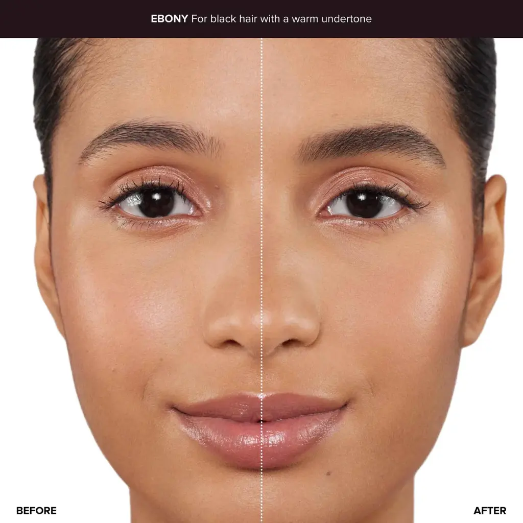 ANASTASIA BROW DEFINER EBONY