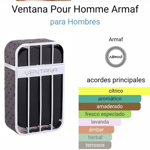 ARMAF VENTANA POUR HOMME