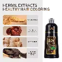 AUGEAS HERBAL SHAMPOO 3 EN 1 BROWN