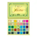BC TIANA EYE SHADOW PALETTE