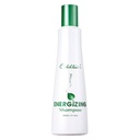 CHIHTSAI ENERGIZING SHAMPOO