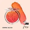 MOIRA SIGNATURE OMBRE BLUSH 05