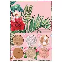 PHYSICIANS FORMULA ALL STAR FACE PALETTE