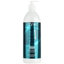 TAHE SHAMPOO FORTE ANTICAIDA 1000ML