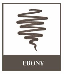 ANASTASIA FULLER BROW KIT EBONY
