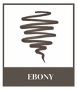ANASTASIA FULLER BROW KIT EBONY