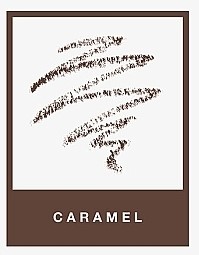 ANASTASIA BH BROW WIZ PENCIL DARK BROWN