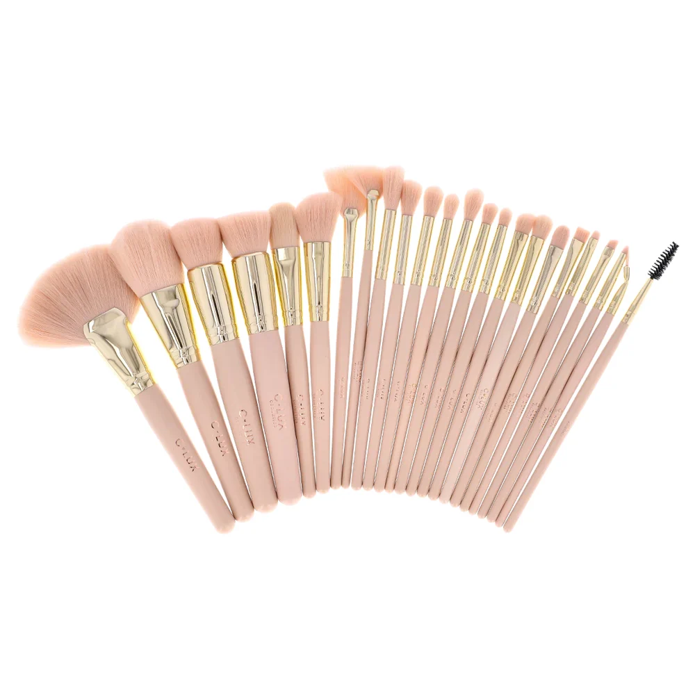SET DE BROCHAS 24 PIEZAS