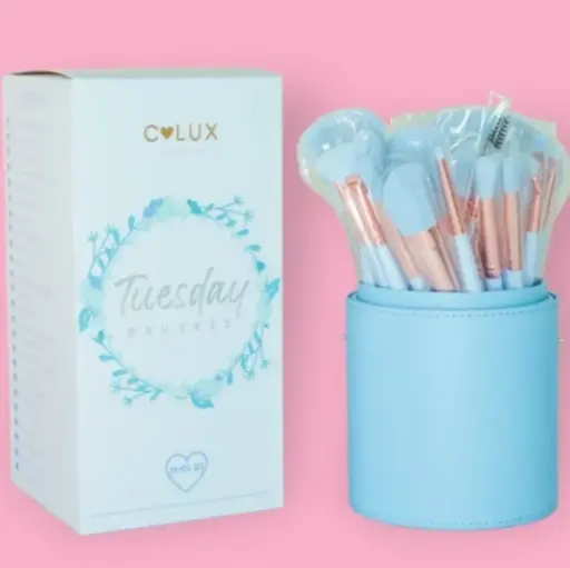 C.LUX TUESDAY BRUSHES 24 PCS SET 
